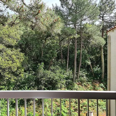 Апартаменты Entre & Foret *