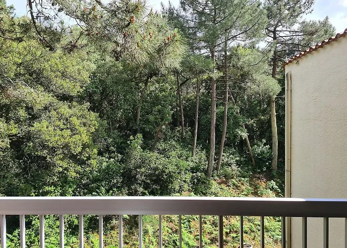 Apartment Entre & Foret *