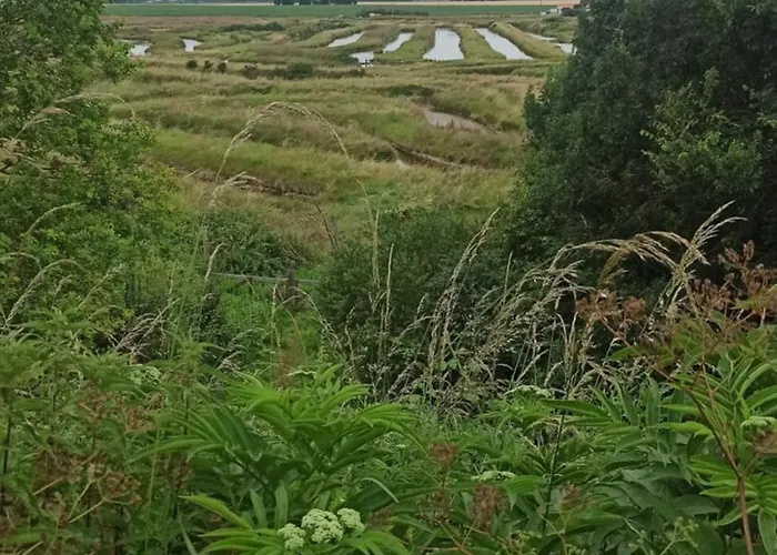 Entre & Foret Apartment Jard-sur-Mer